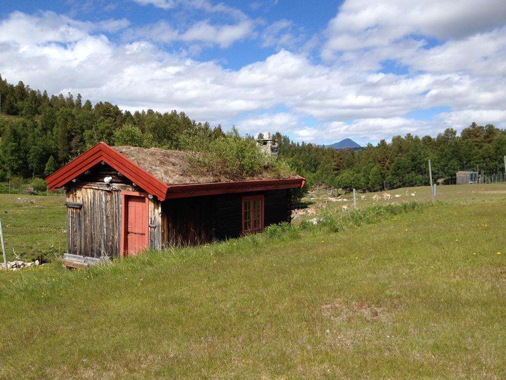 Rondane Friluftssenter Rondetunet Brenn Room photo